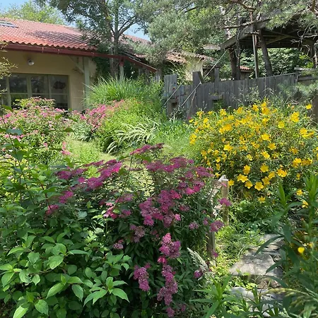 De L'atelier In بيت للعطل *